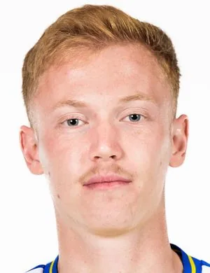Hugo Larsson, Midfielder Fulham