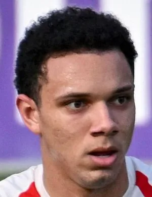 Viery, defender of Fiorentina